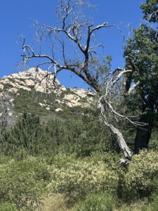  countryside around San Diego